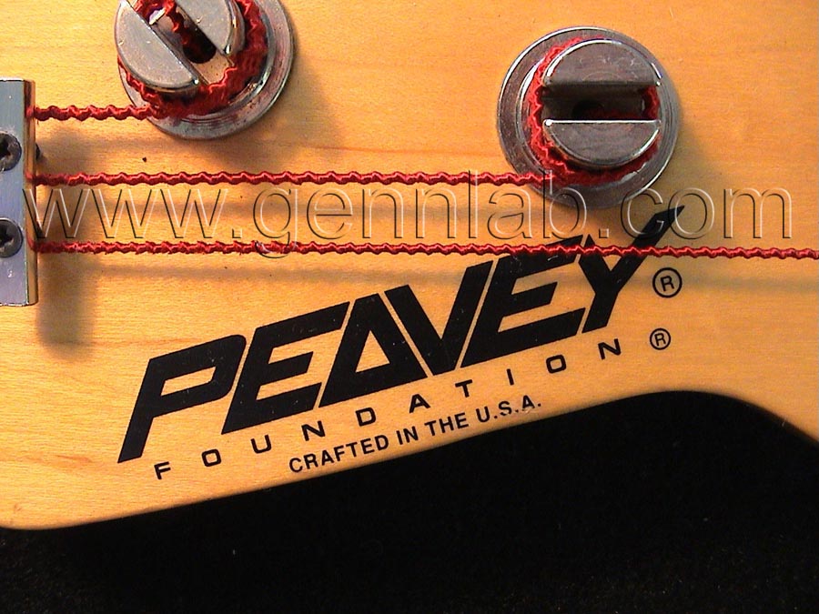 peavey foundation serial number lookup